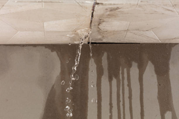 Professional Water Damage Repair technician working in Mount Eden, KY